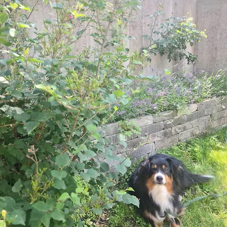 بيت للعطل Kreischberg Deluxe With Finnish Sauna *