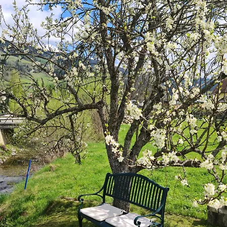 Kreischberg Deluxe With Finnish Sauna Semesterbostad Sankt Lorenzen ob Murau