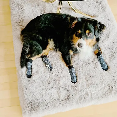 Semesterbostad Kreischberg Deluxe With Finnish Sauna Sankt Lorenzen ob Murau