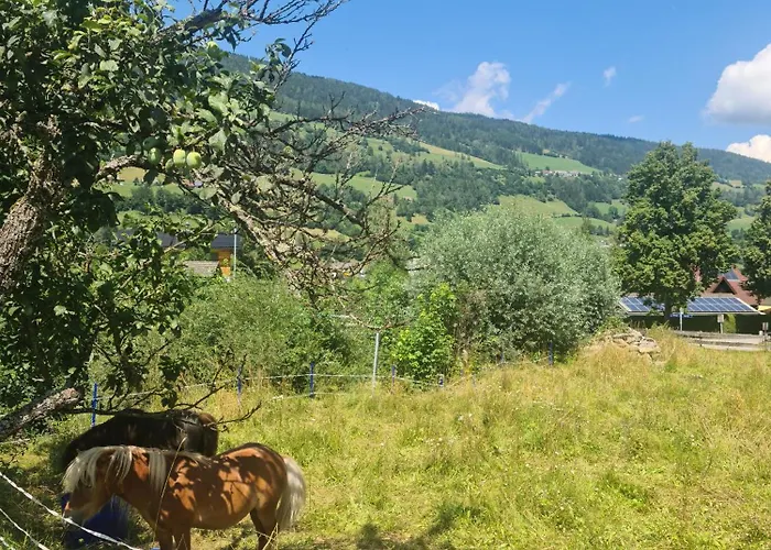 Prázdninový dům Kreischberg Deluxe With Finnish Sauna Sankt Lorenzen ob Murau