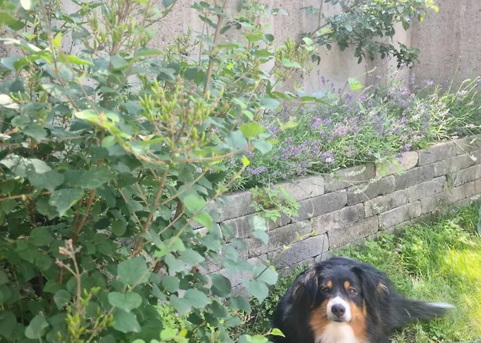 Vakantiehuis Kreischberg Deluxe With Finnish Sauna *