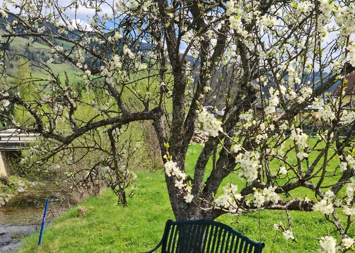 Kreischberg Deluxe With Finnish Sauna Vakantiehuis Sankt Lorenzen ob Murau