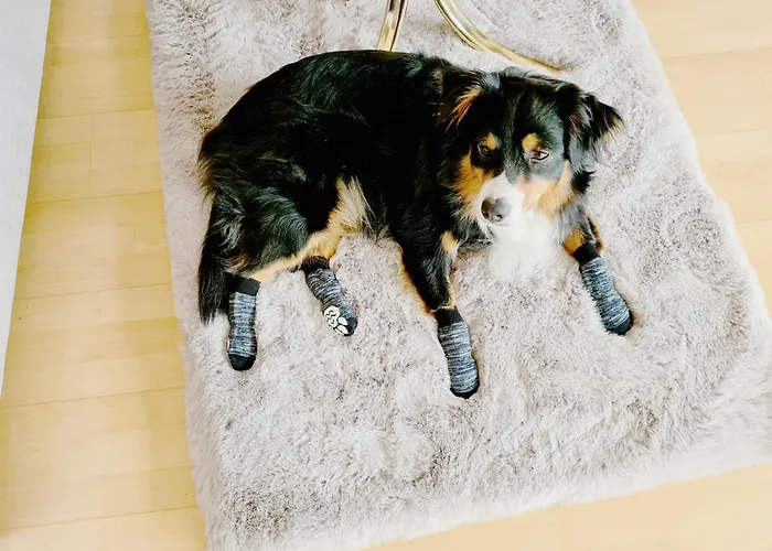 Vakantiehuis Kreischberg Deluxe With Finnish Sauna Sankt Lorenzen ob Murau